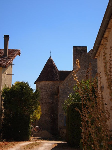 Photo de Logis de Cherconnay à Longré