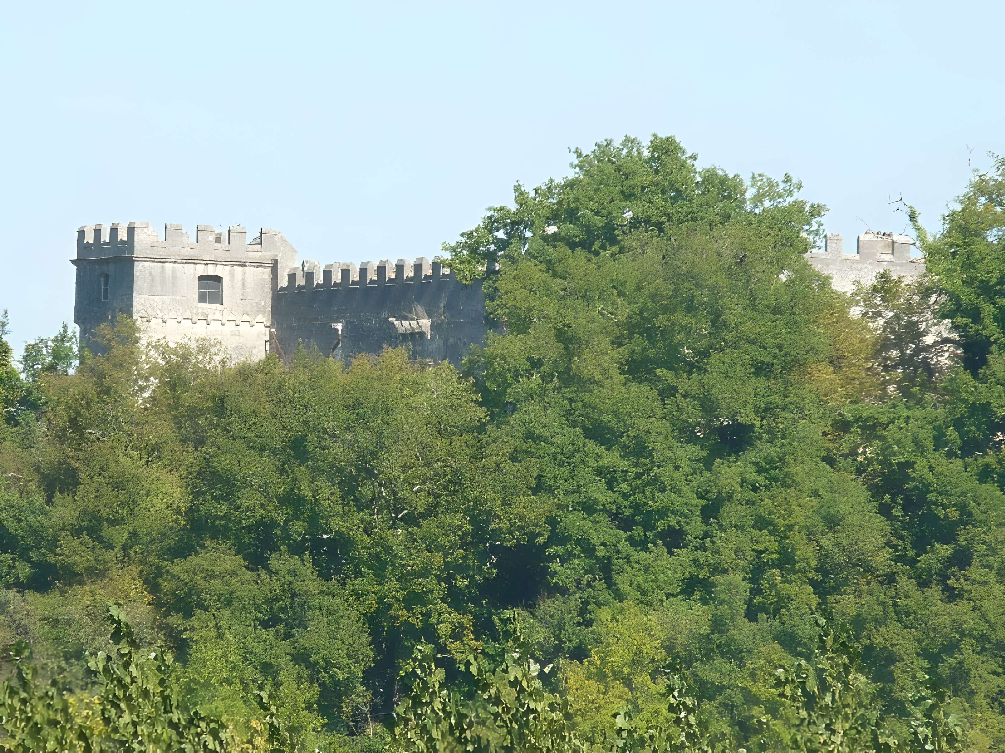 Logis de Nanteuil à Sers 