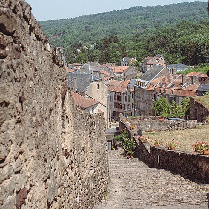 Photo de Château des Ducs de Lorraine