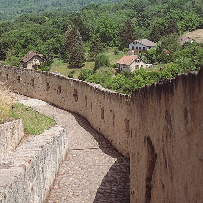 Photo de Château des Ducs de Lorraine