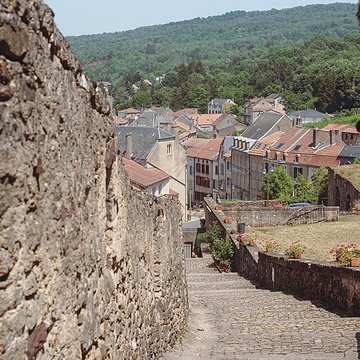Château des Ducs de Lorraine