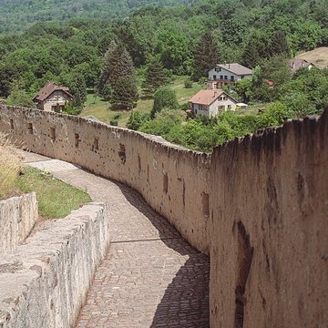 Château des Ducs de Lorraine