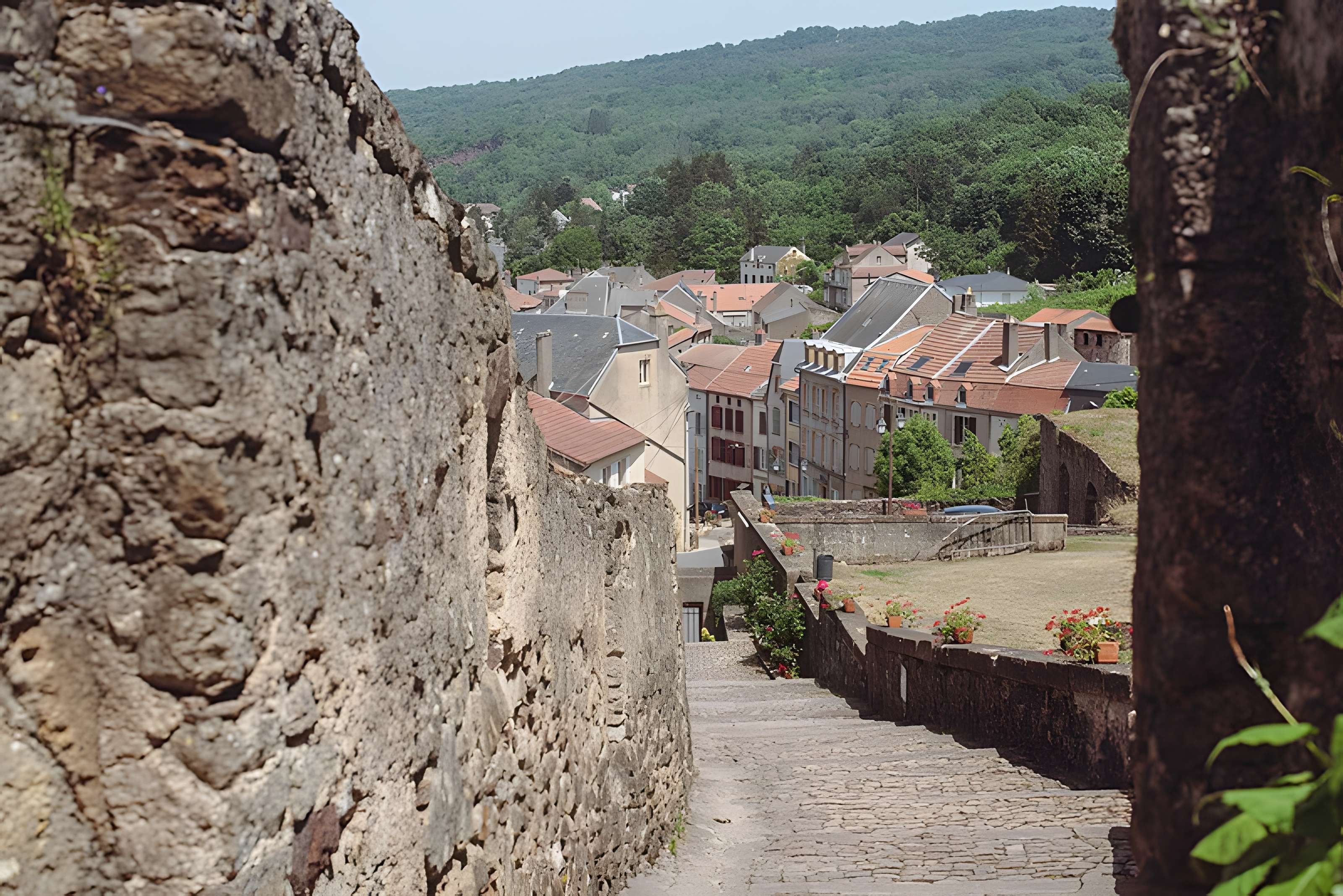 Château des Ducs de Lorraine