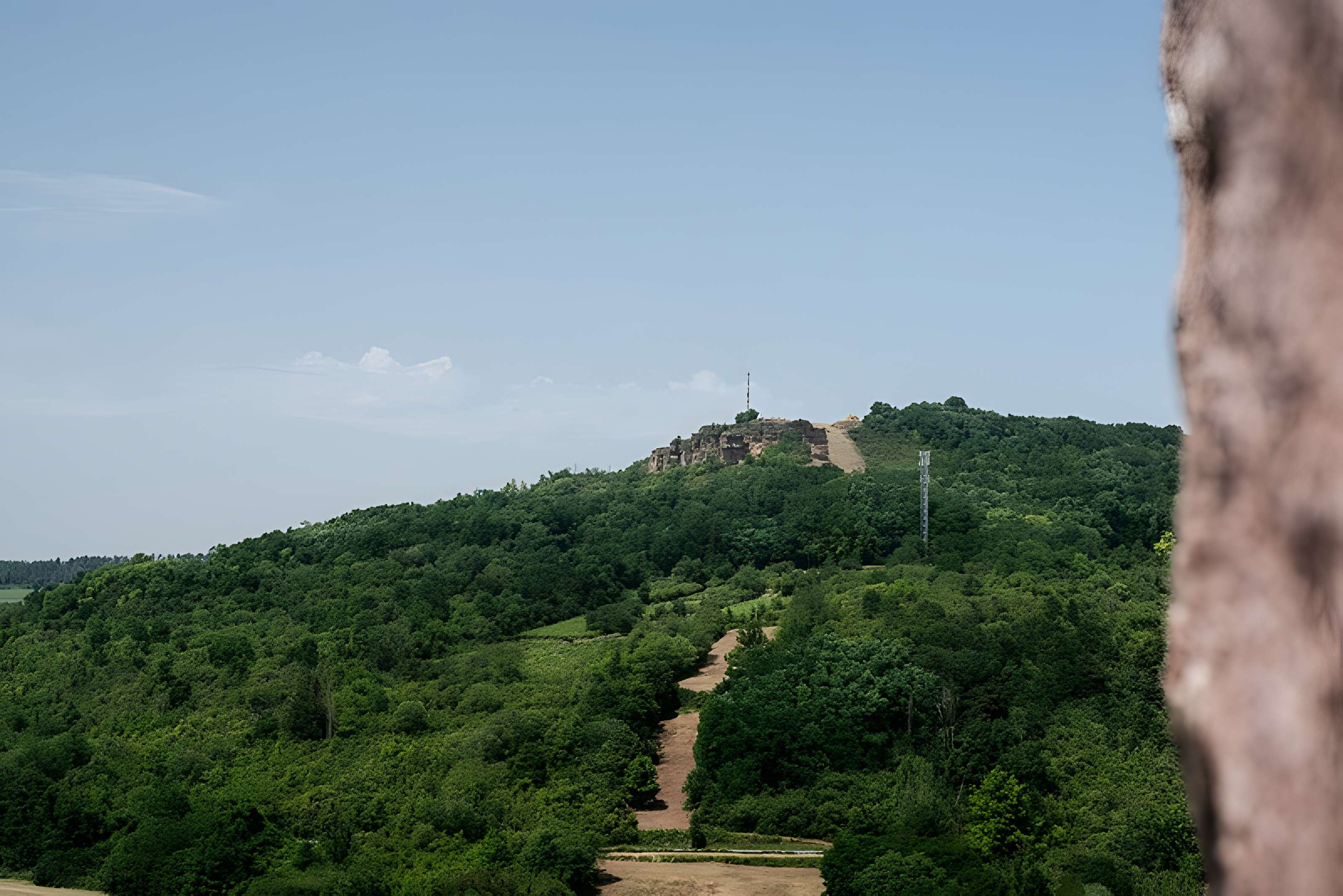 Château des Ducs de Lorraine