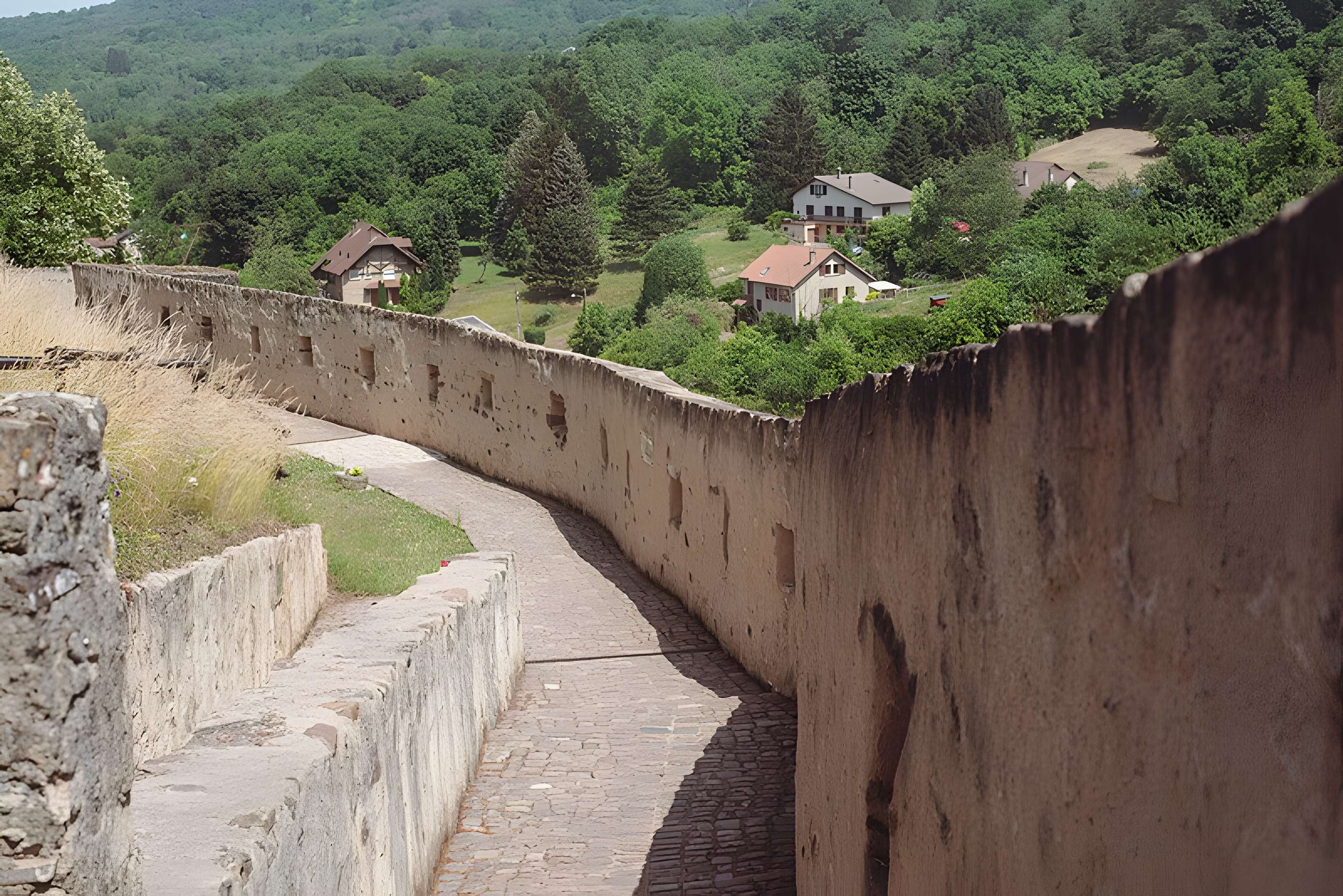 Château des Ducs de Lorraine