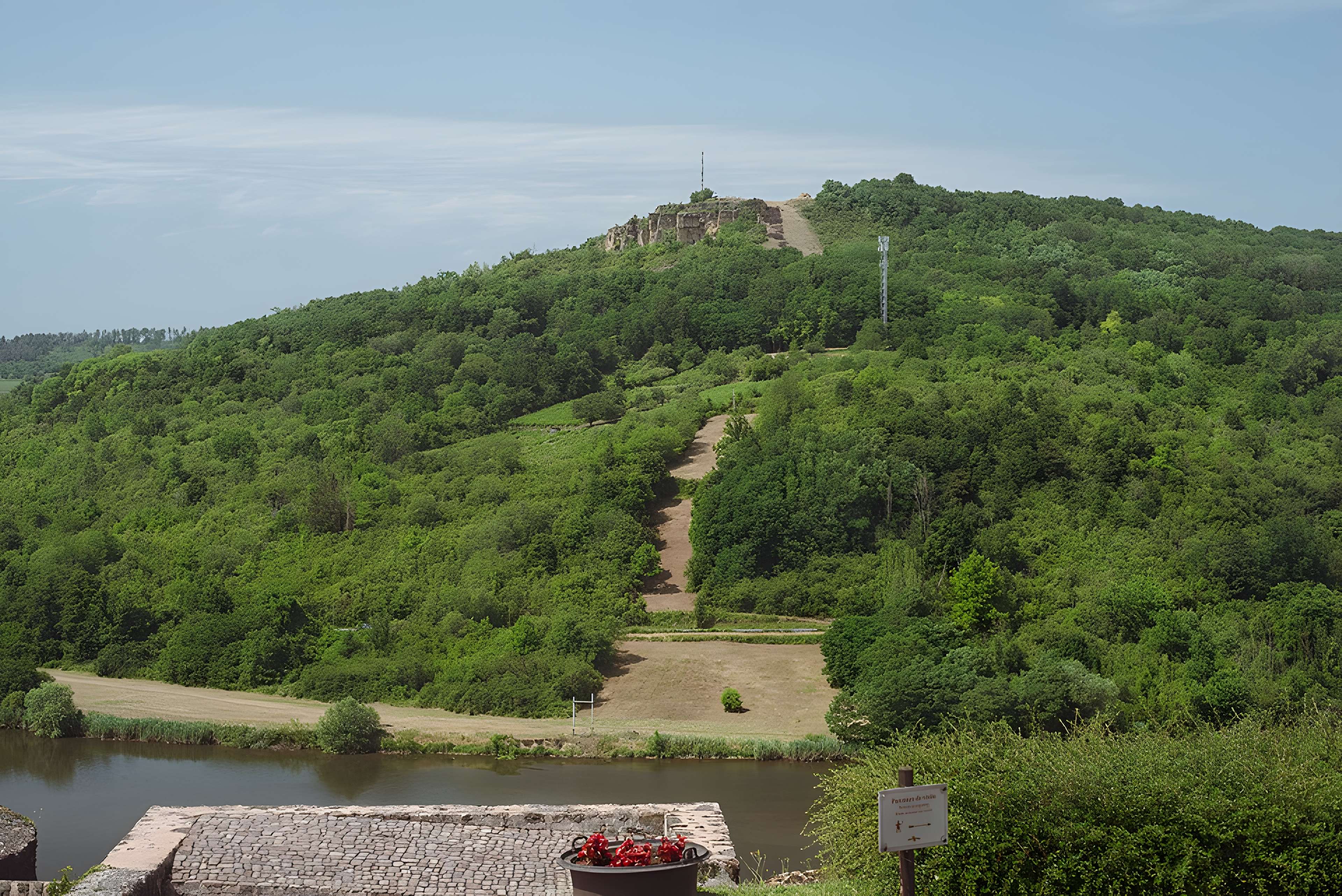 Château des Ducs de Lorraine