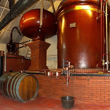 Logis du Maine-Giraud à Champagne-Vigny