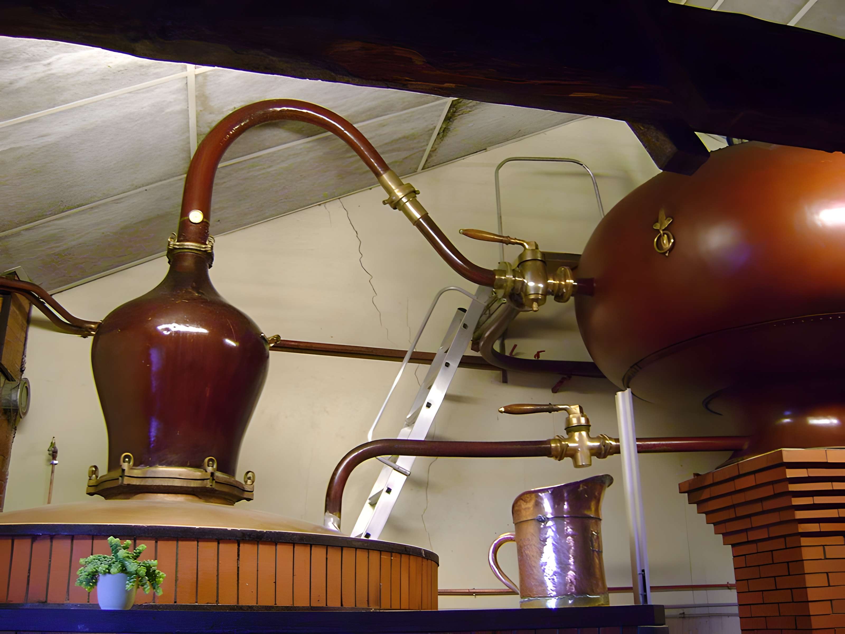 Logis du Maine-Giraud à Champagne-Vigny