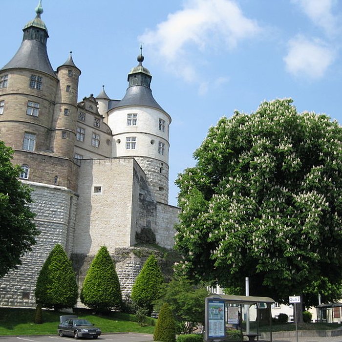 Photo de Château des Ducs de Wurtemberg