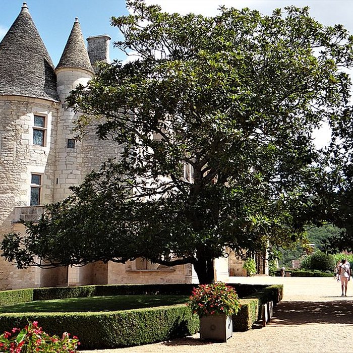 Photo de Château des Milandes