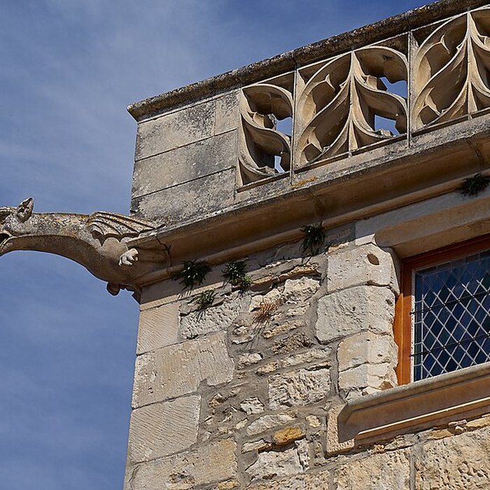 Photo de Château des Milandes