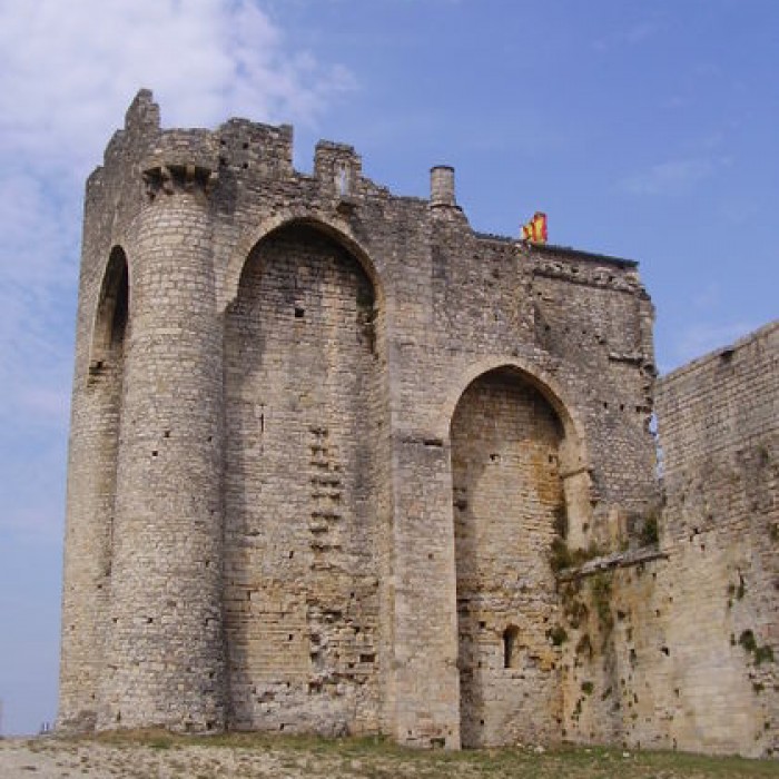 Photo de Château des Moines