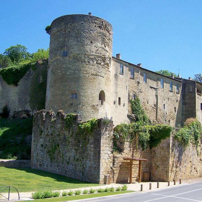 Photo de Château des QuatSos