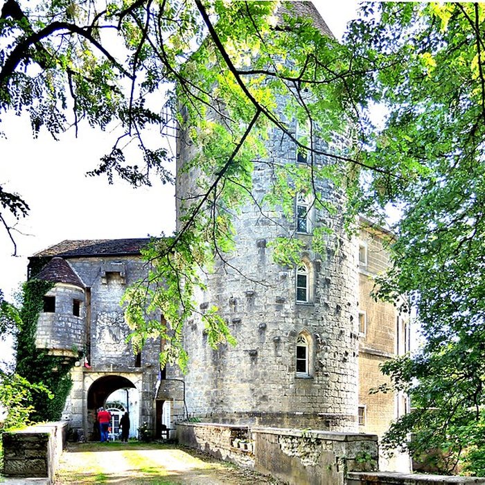 Photo de Château des Sires dOiselay