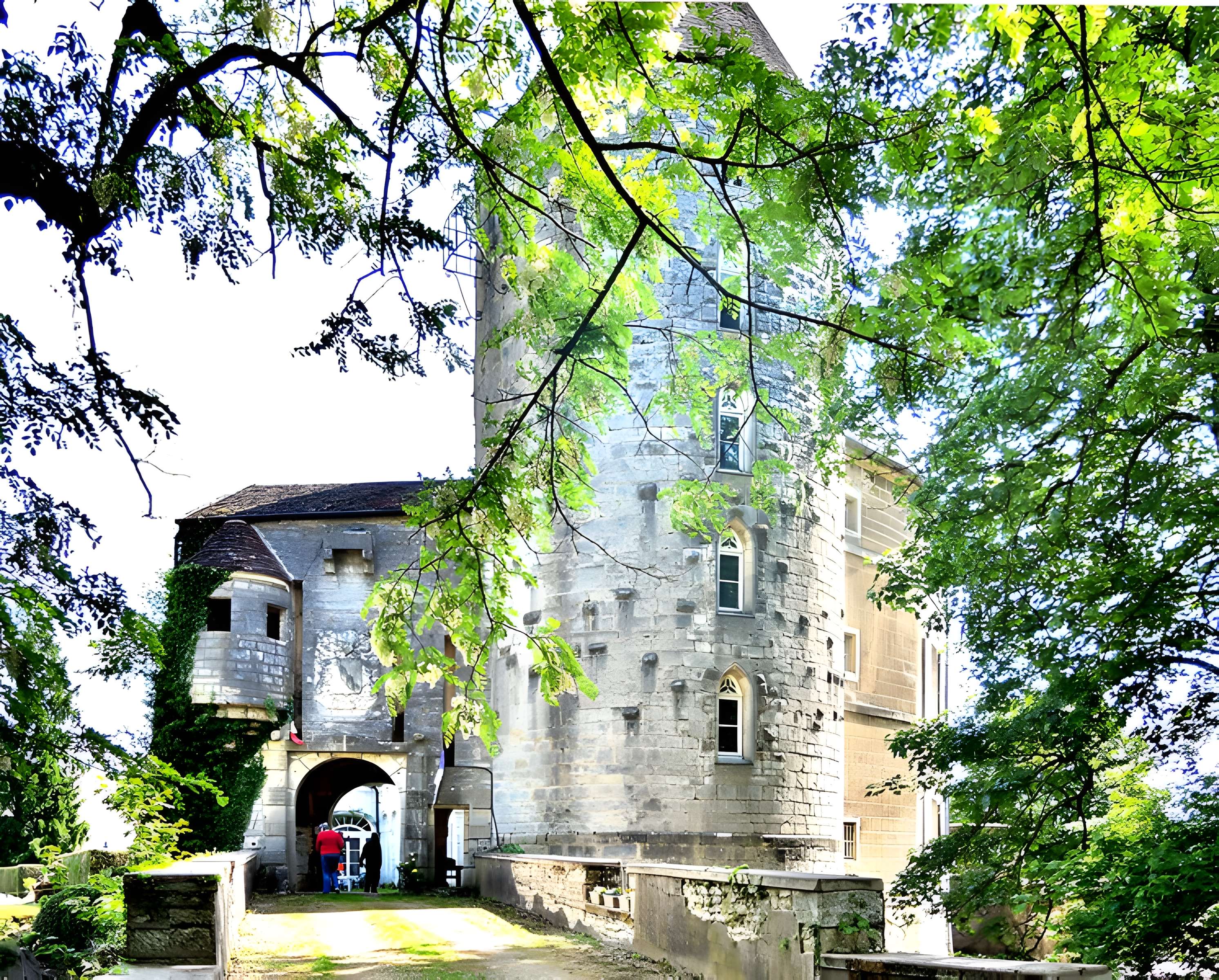 Château des Sires d'Oiselay