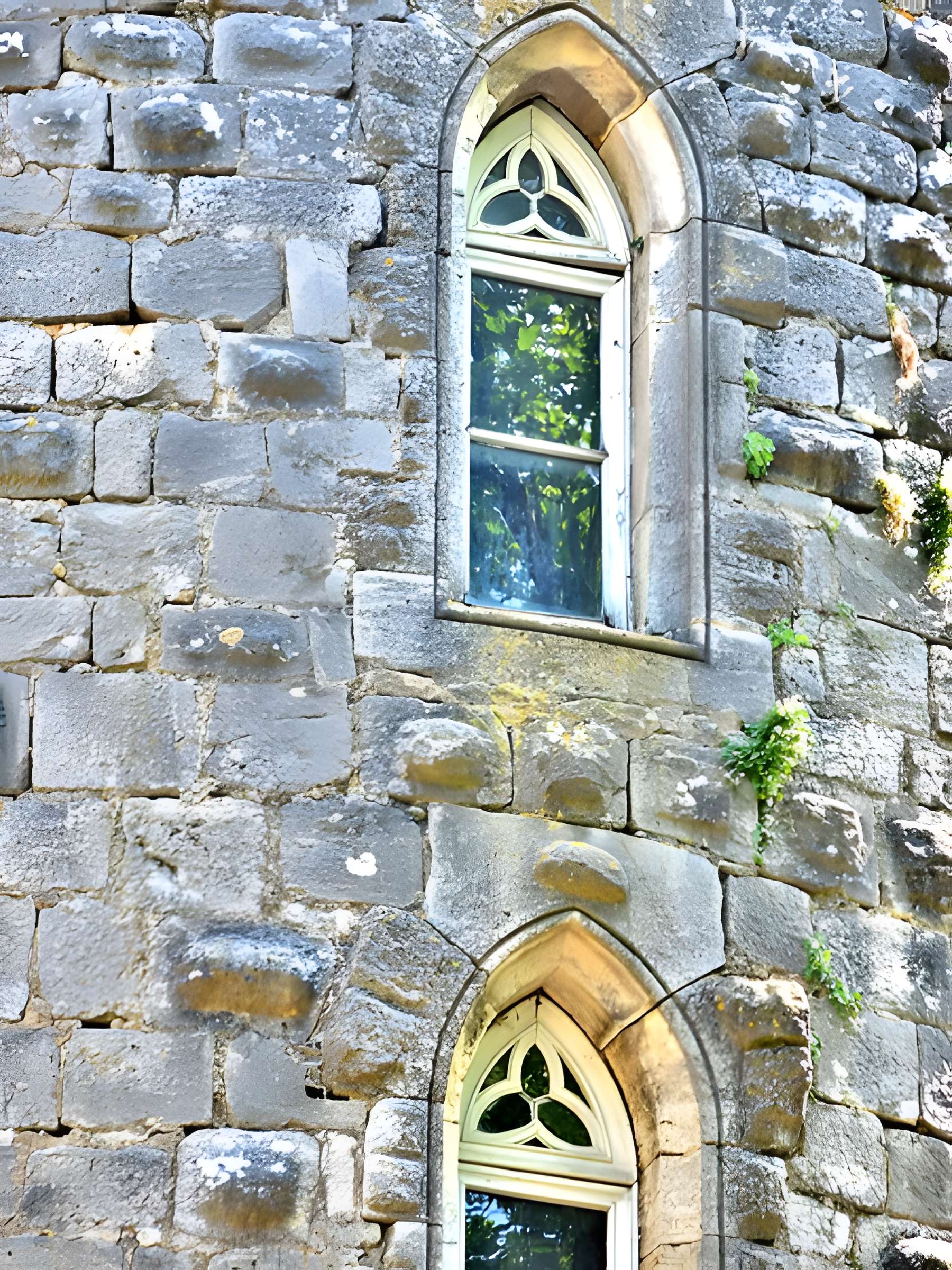 Château des Sires d'Oiselay