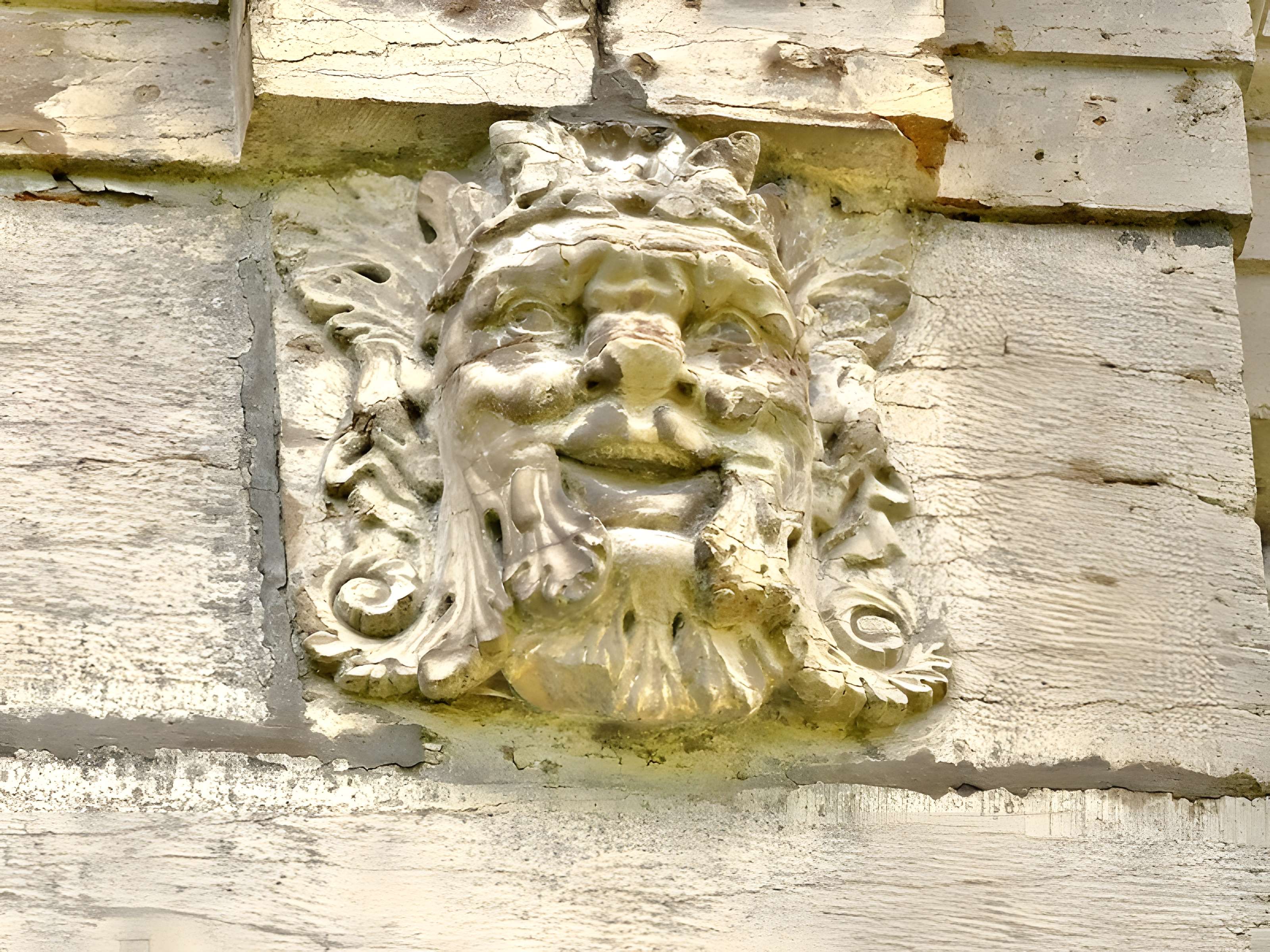 Château des Sires d'Oiselay