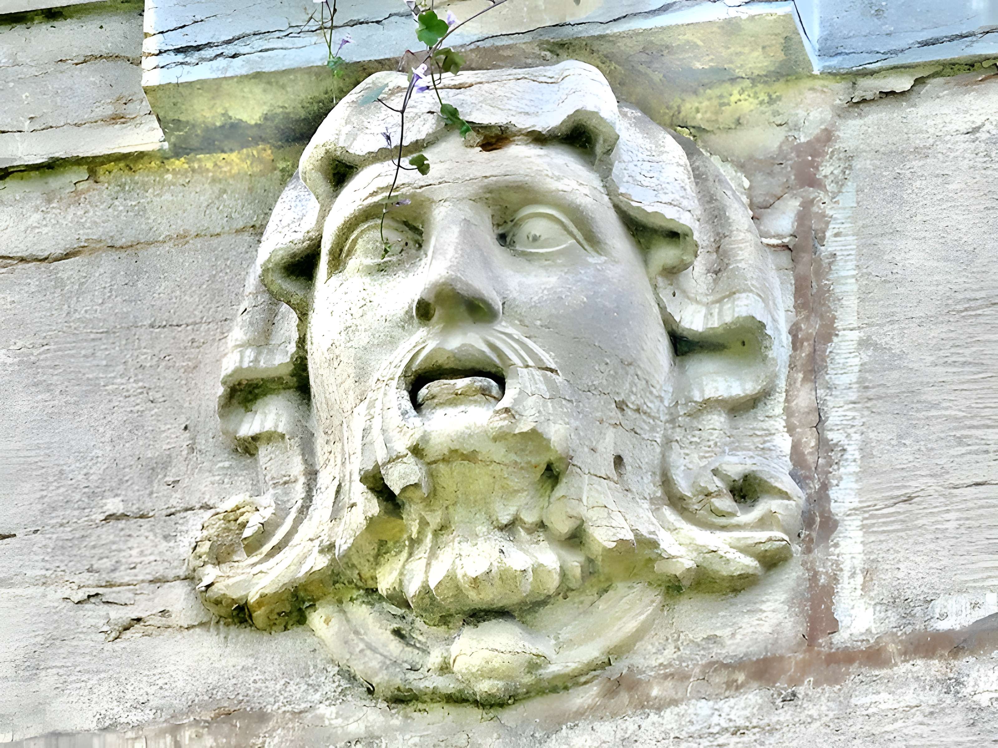 Château des Sires d'Oiselay