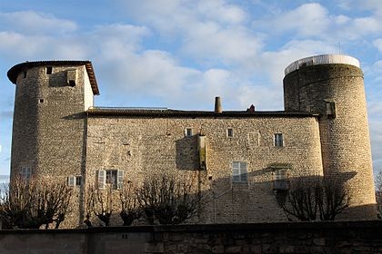 Photo de Château des Tours