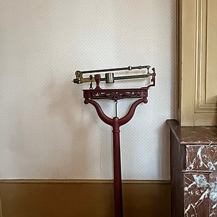 Photo de Maison du docteur Dugoujon à Caluire-et-Cuire