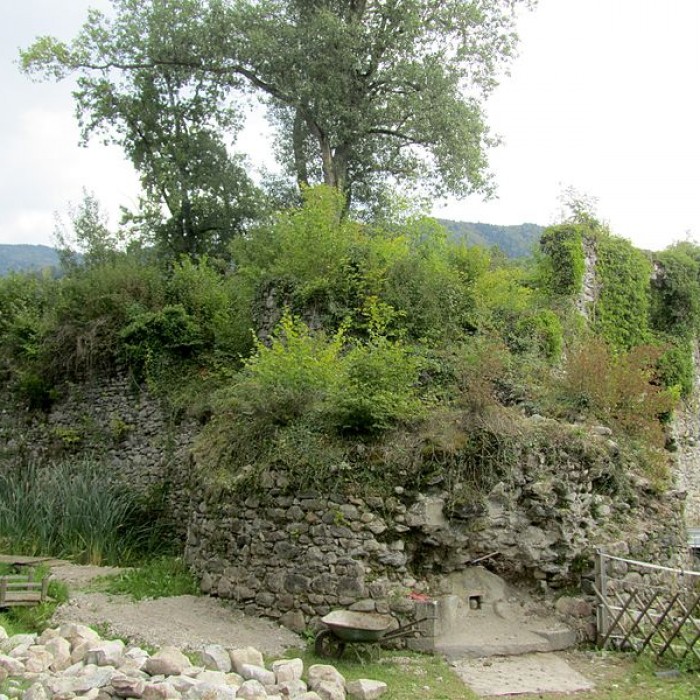 Photo de Maison forte de Cursinges à Perrignier