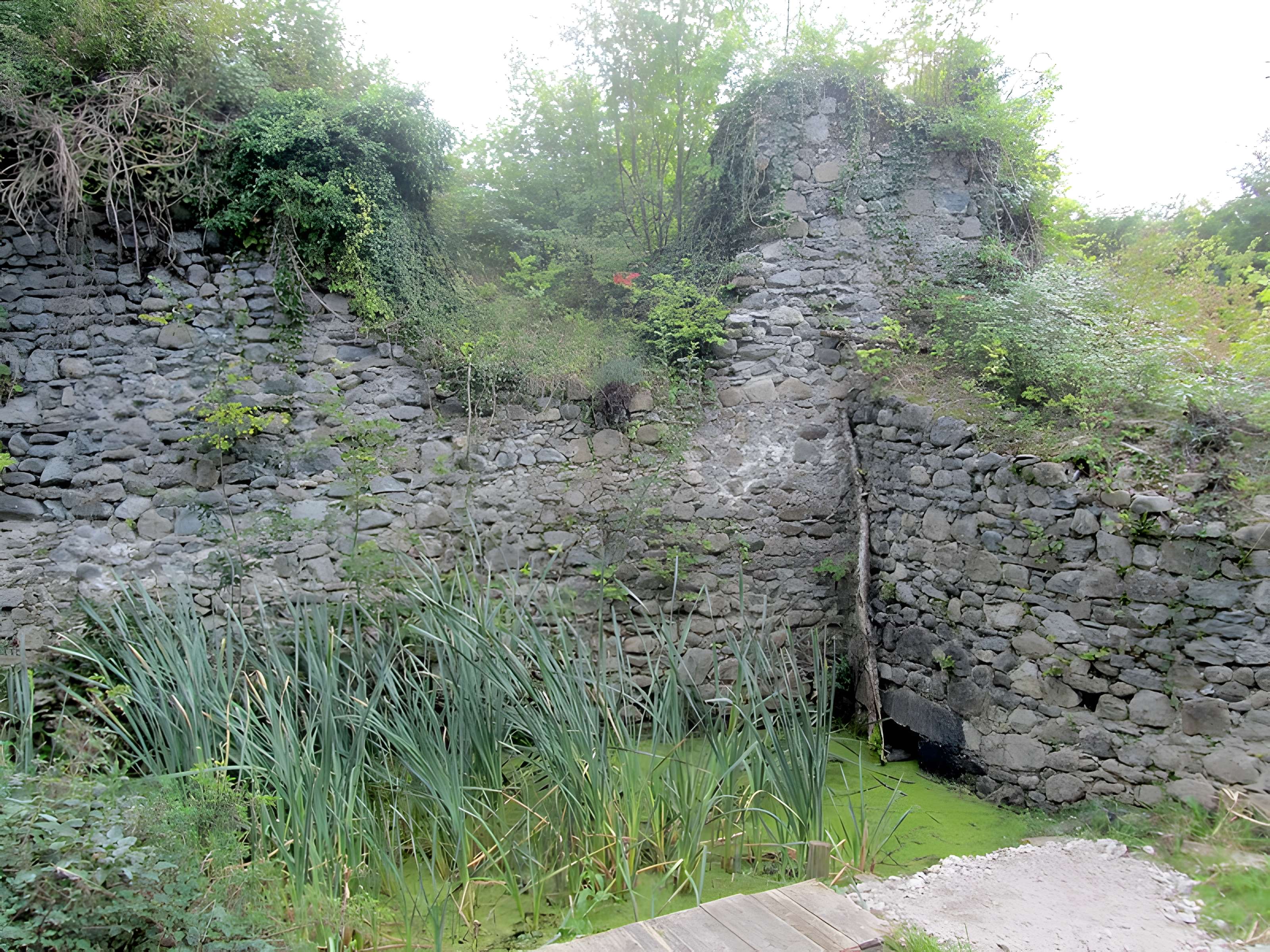 Maison forte de Cursinges à Perrignier