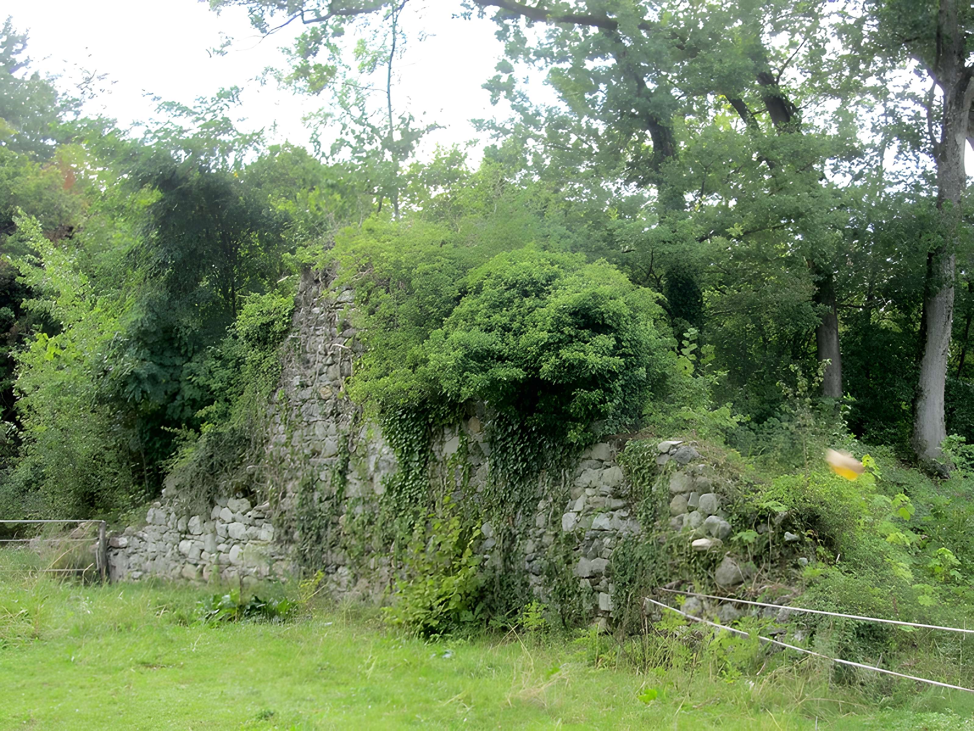 Maison forte de Cursinges à Perrignier