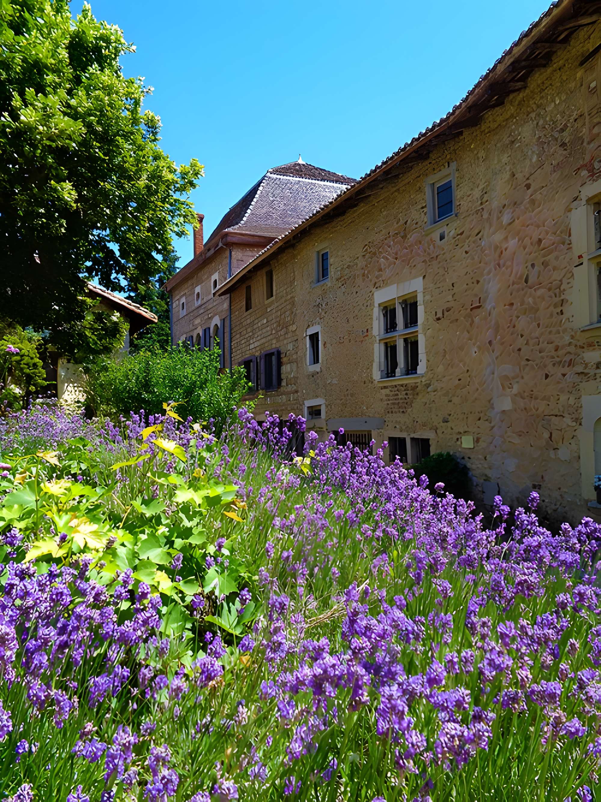 Maison Grezin à Pérouges