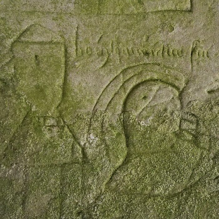 Photo de Château dEsnes