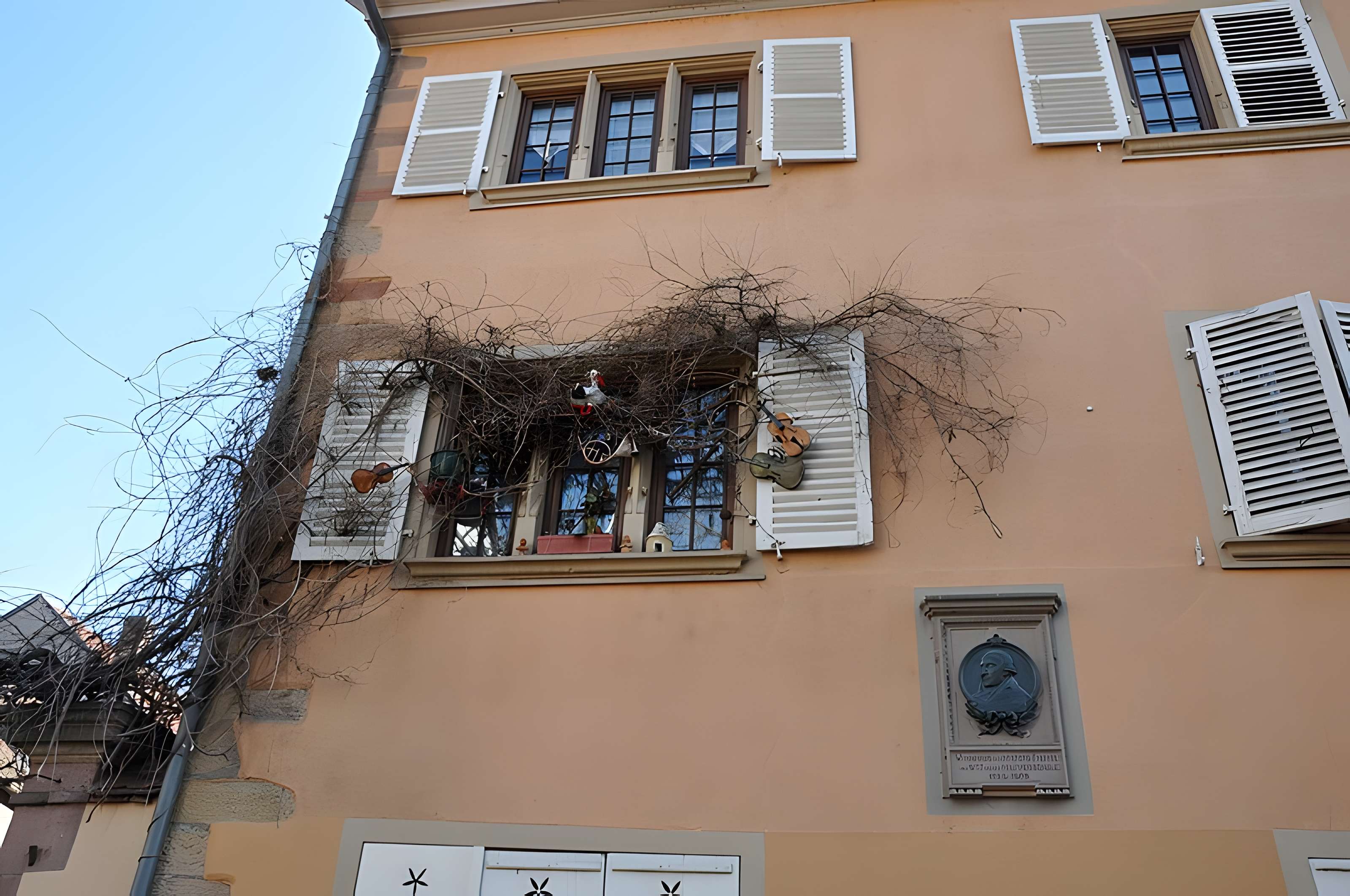 Maison Pfeffel à Colmar