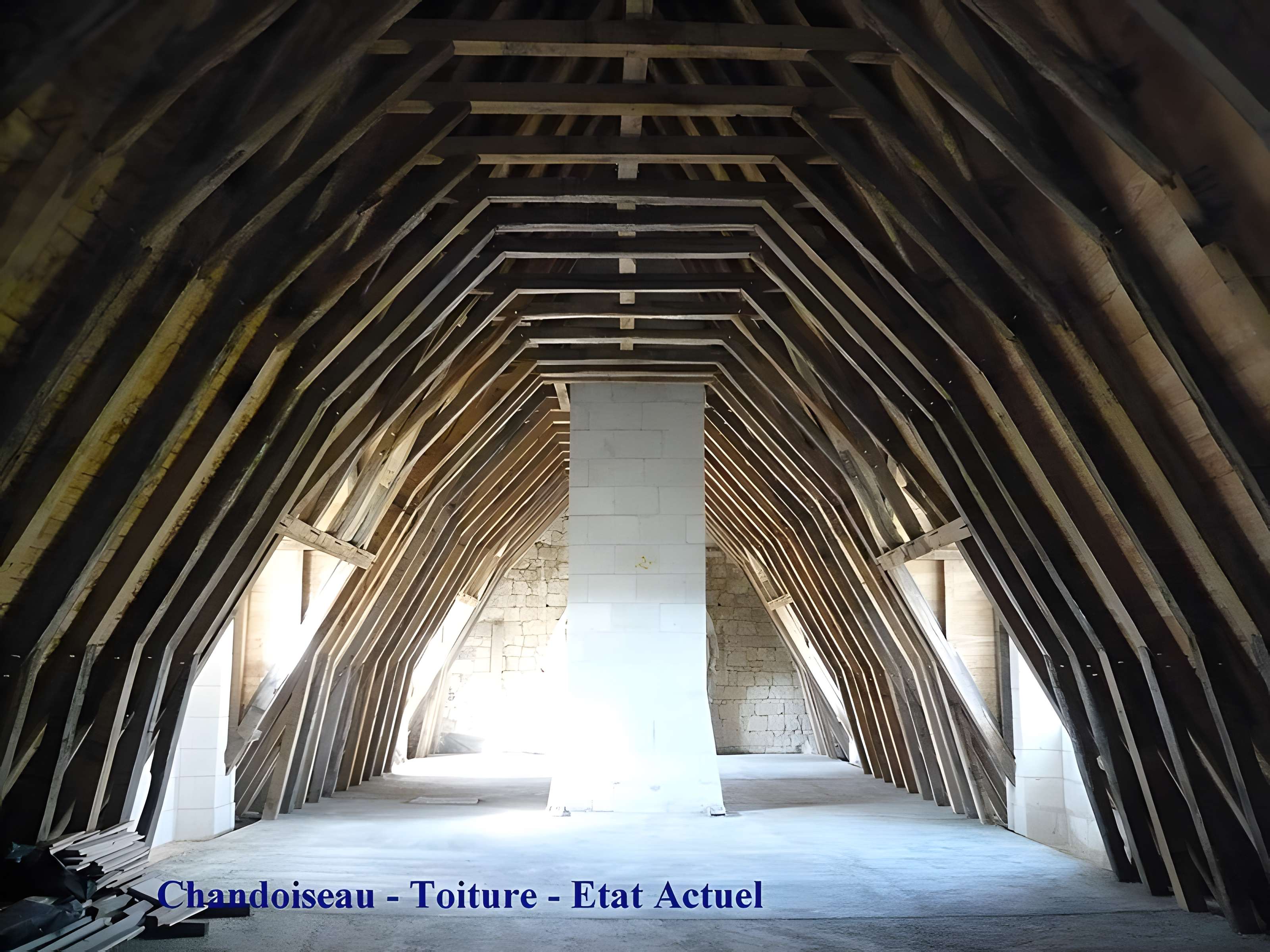 Manoir de Chandoiseau 