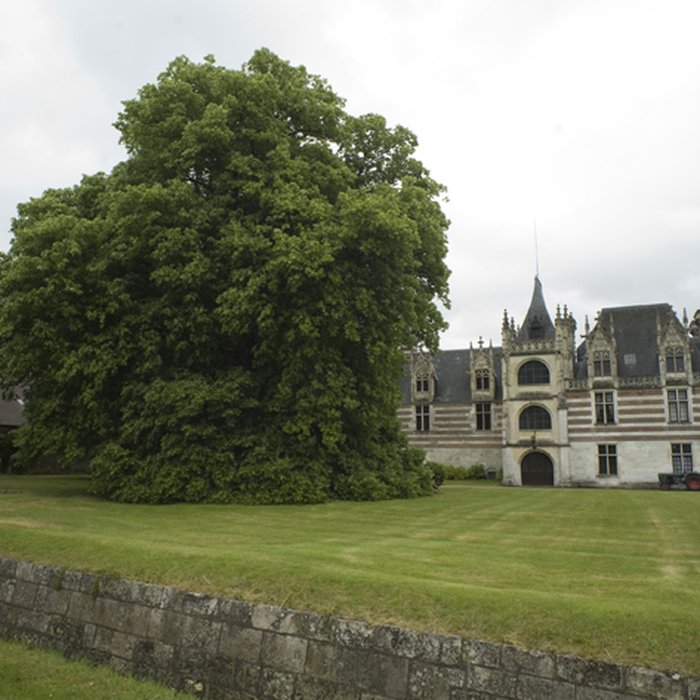 Photo de Château dEtelan