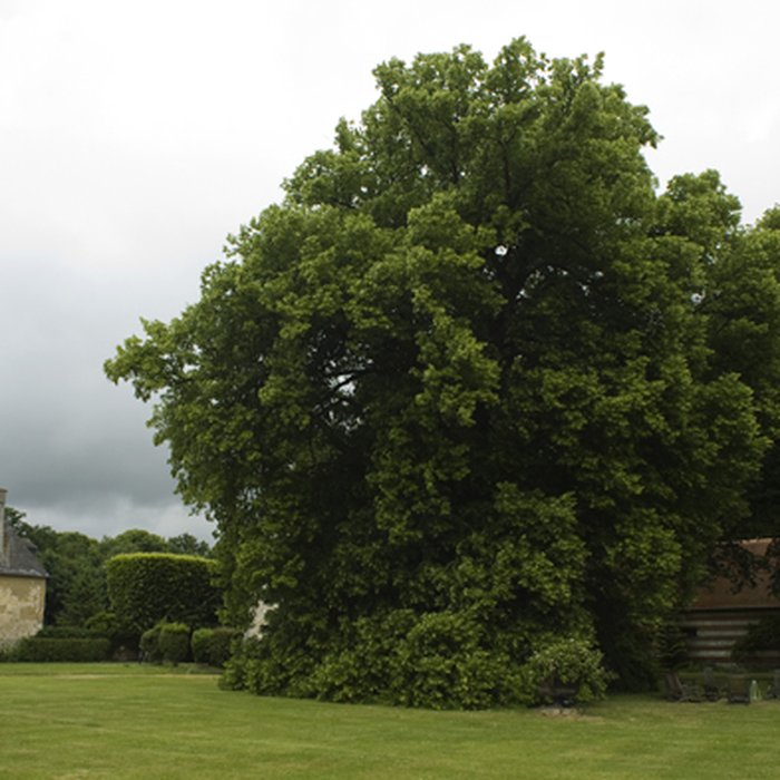Photo de Château dEtelan