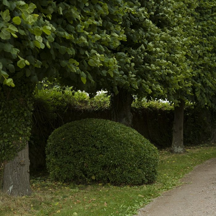Photo de Château dEtelan