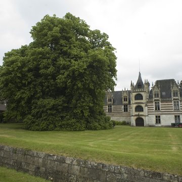 Château dEtelan
