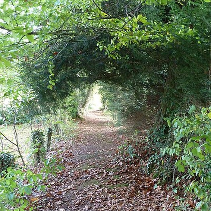 Photo de Manoir de la Bérardière 