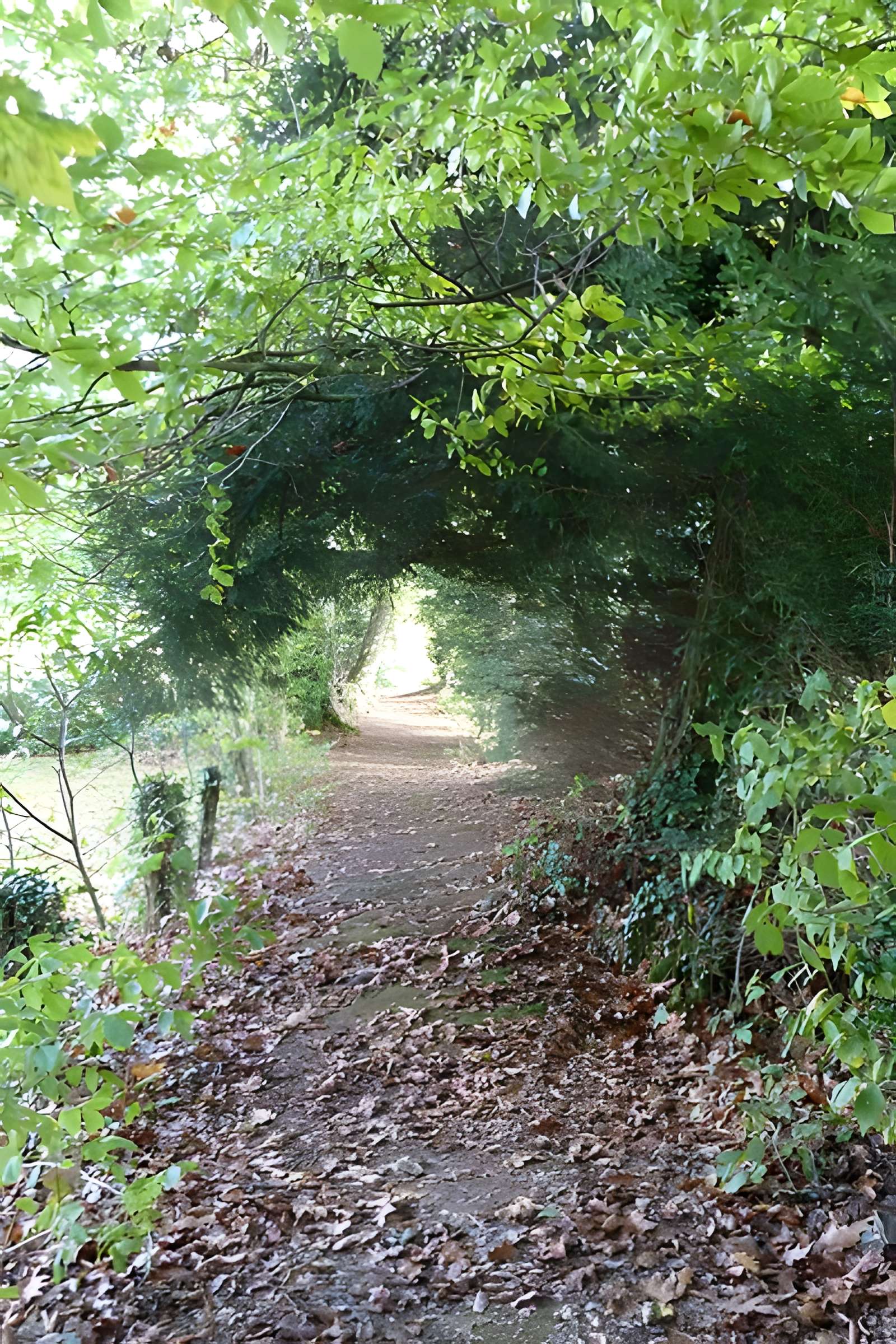 Manoir de la Bérardière 