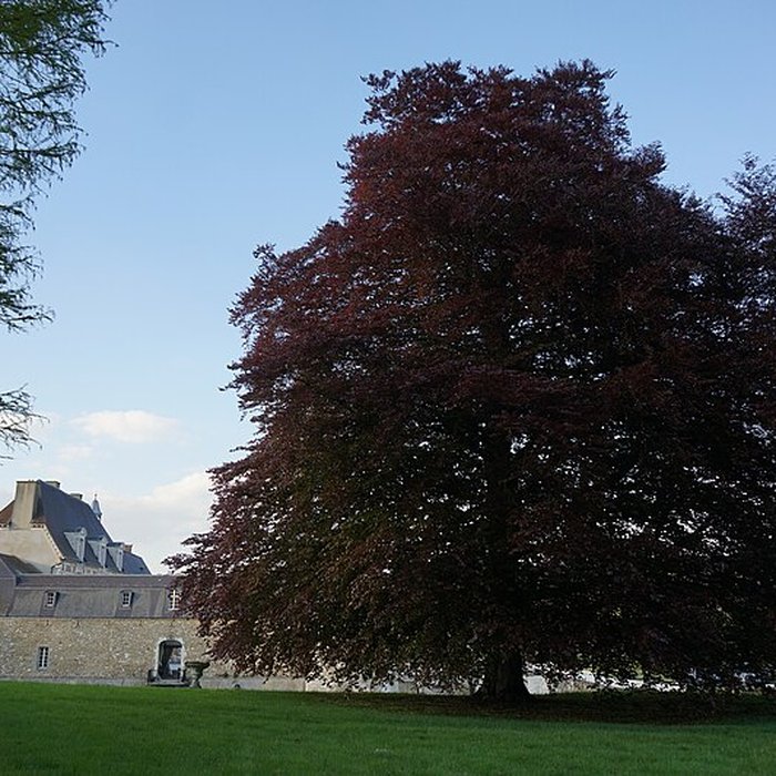 Photo de Château dÉtoges