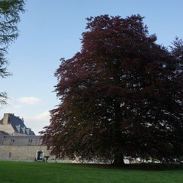 Château dÉtoges