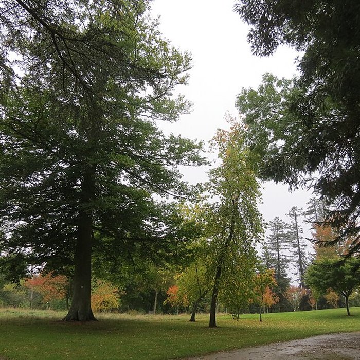 Photo de Château dHarcourt