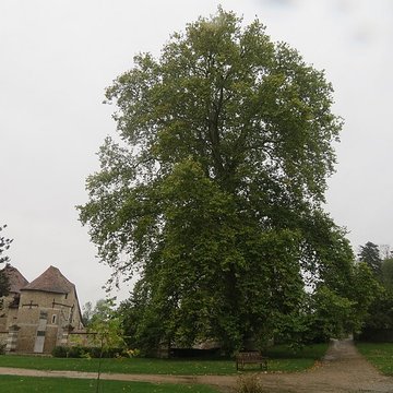 Château dHarcourt
