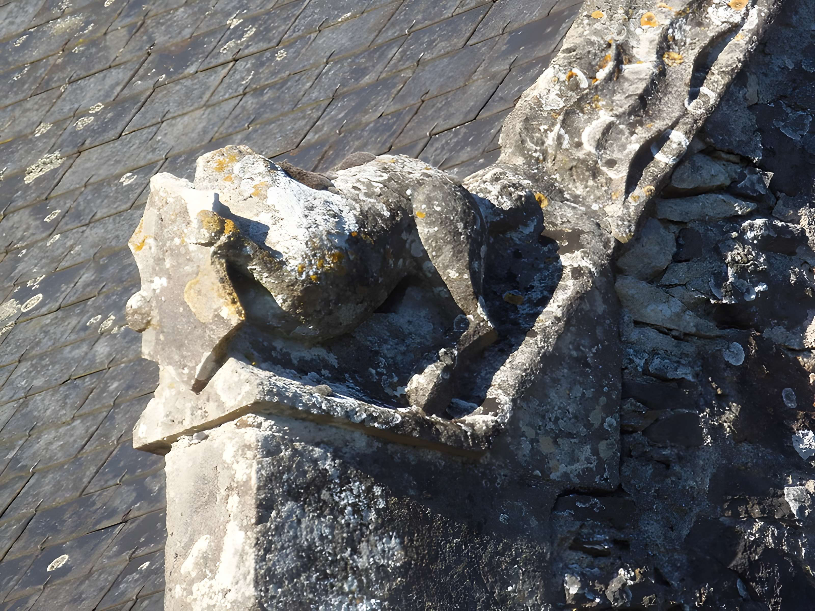 Manoir du Mesnil-Vitey