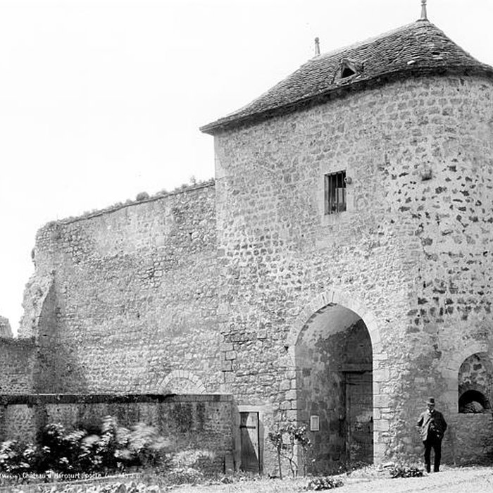 Photo de Château dHarcourt à Chauvigny