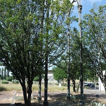 Marché Saint-Arigle de Nevers