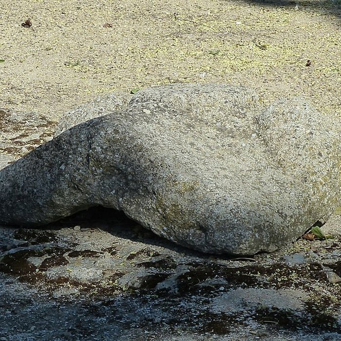 Photo de Mas de Méjanes aux Saintes-Maries-de-la-Mer