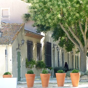 Mas de Méjanes aux Saintes-Maries-de-la-Mer