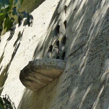 Mas de Méjanes aux Saintes-Maries-de-la-Mer