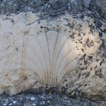 Mas de Méjanes aux Saintes-Maries-de-la-Mer