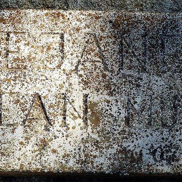 Mas de Méjanes aux Saintes-Maries-de-la-Mer