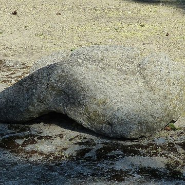 Mas de Méjanes aux Saintes-Maries-de-la-Mer